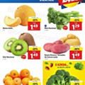 Antevisão Folheto LIDL Promoções de 3 a 9 maio